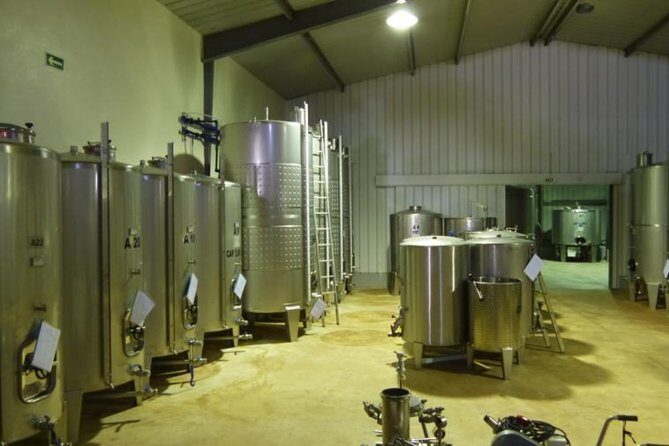 Algarve wine tour and farmer's lunch at wine estate - Stop 1: Quinta Do Frances Winery and your first real taste of Algarve wine