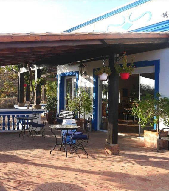 Algarve Wine Tour of two estates guided by wine expert - What you learn about Portuguese wine culture and the region