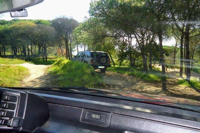 Private Algarve Tour with Typical Lunch, pax min. 2. - Stop 1: Ria de Alvor Nature Reserve and the lifeguard-style museum story